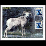 Dgn 261